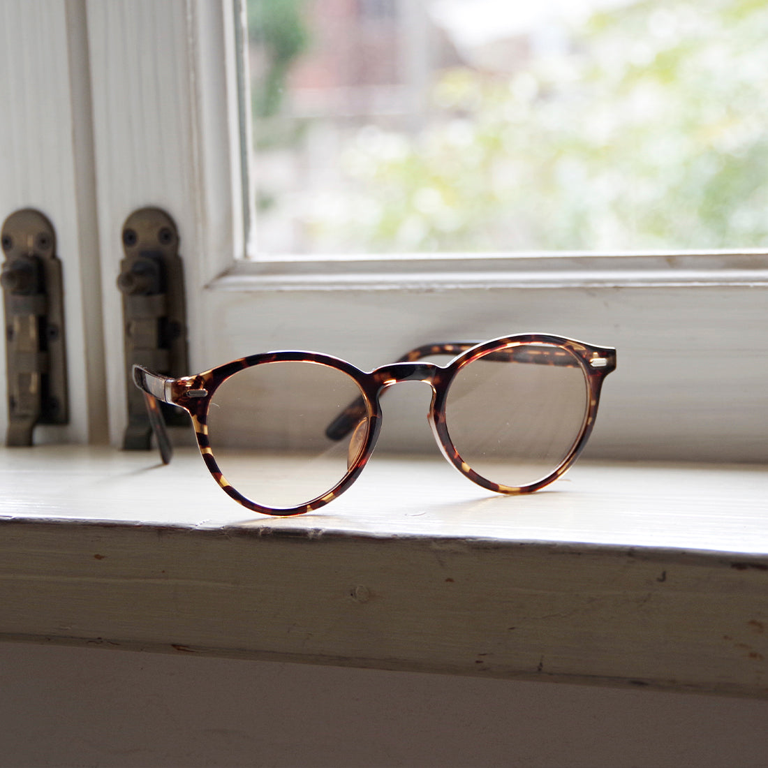 サングラス【81288800】BROWN